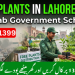 Government Free Plant Scheme in Lahore