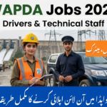 wapda jobs 2026