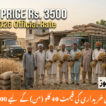 Punjab Wheat Procurement Price Set at Rs. 3,500 per 40 kg (Maund)
